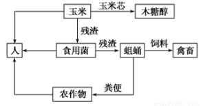 解析生態農業示意圖 哪個說法不正確？