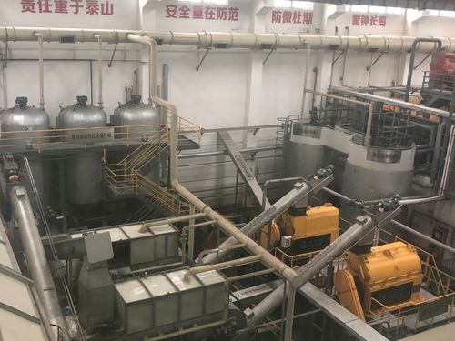 云探秘 餐廚垃圾與污水的生態蛻變之旅